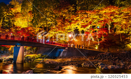 香嵐渓（秋） 120325453