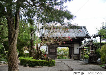 第39番札所 赤亀山 寺山院 延光寺(仁王門)【高知県宿毛市平田町】 第39番札所 赤亀山 寺山院 延光寺(仁王門)【高知県宿毛市平田町】 120325586