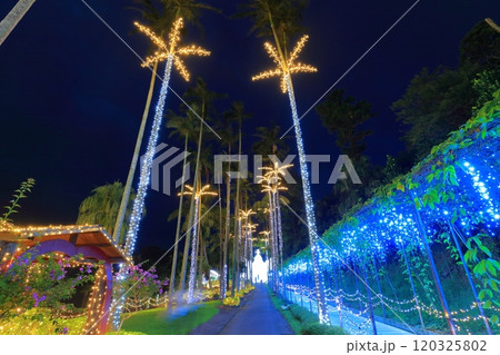 【沖縄県】東南植物楽園の南国イルミネーション（美らヤシパークオキナワ） 120325802