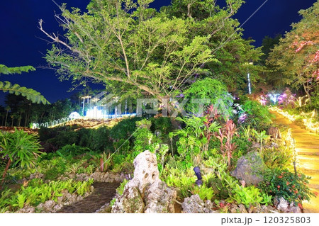 【沖縄県】東南植物楽園の南国イルミネーション（美らヤシパークオキナワ） 120325803