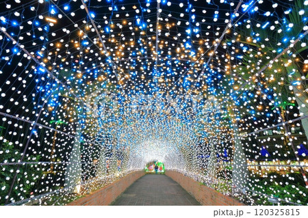 【沖縄県】東南植物楽園の南国イルミネーション(美らヤシパークオキナワ) 【沖縄県】東南植物楽園の南国イルミネーション(美らヤシパークオキナワ) 120325815
