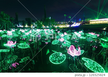 【沖縄県】東南植物楽園の南国イルミネーション（美らヤシパークオキナワ） 120325824