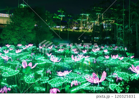 【沖縄県】東南植物楽園の南国イルミネーション(美らヤシパークオキナワ) 【沖縄県】東南植物楽園の南国イルミネーション(美らヤシパークオキナワ) 120325831