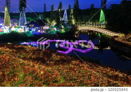 【沖縄県】東南植物楽園の南国イルミネーション（美らヤシパークオキナワ） 120325843