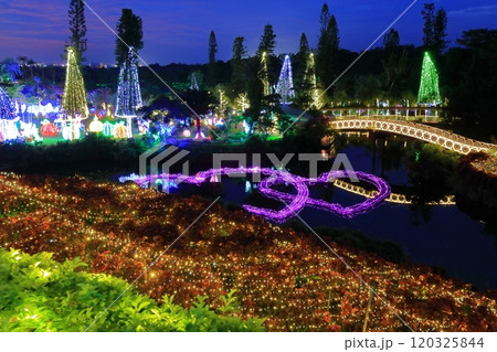 【沖縄県】東南植物楽園の南国イルミネーション（美らヤシパークオキナワ） 120325844
