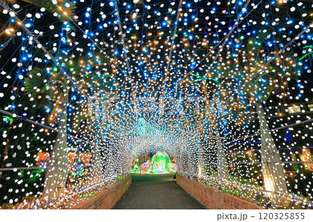 【沖縄県】東南植物楽園の南国イルミネーション（美らヤシパークオキナワ） 120325855