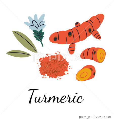 Turmeric vector illustration in flat cartoon style. Turmeric root, powder, leaves, and flower. Perfect for spices, herbs, cooking, and botanical themes. Vibrant yellow and aromatic details 120325856