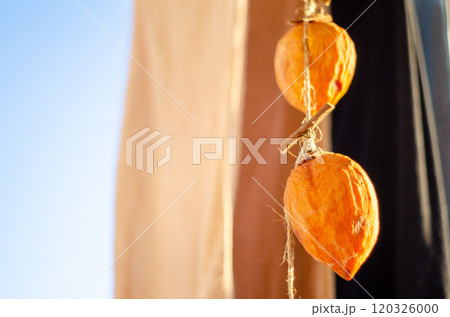 洗濯物と一緒に干されている完成を待つ干し柿 120326000