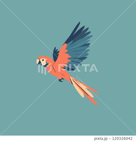 Colorful Parrot in Flight Illustration 120326042