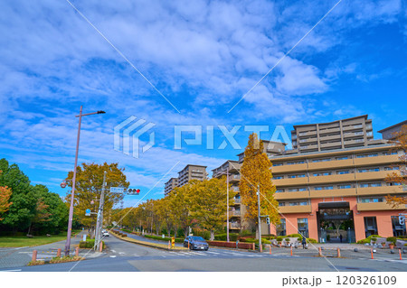 秋の東京都稲城市若葉台2丁目の若葉台駅西交差点付近から北西側の3丁目方面を見る 秋の東京都稲城市若葉台2丁目の若葉台駅西交差点付近から北西側の3丁目方面を見る 120326109