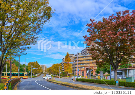 秋の東京都稲城市若葉台2丁目の若葉台駅西交差点付近から北西側の3丁目方面を見る 秋の東京都稲城市若葉台2丁目の若葉台駅西交差点付近から北西側の3丁目方面を見る 120326111