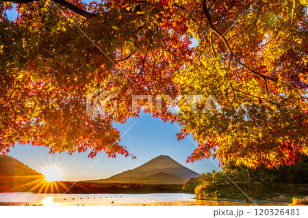 日の出の精進湖と富士山に輝く紅葉 日の出の精進湖と富士山に輝く紅葉 120326481