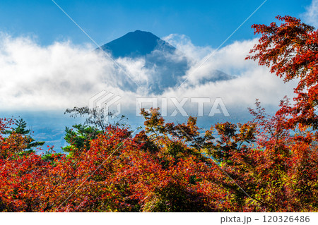 紅葉台からの紅葉と富士山 120326486