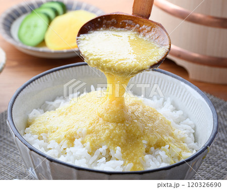 熱々のご飯で楽しむ とろろご飯 ( 味付けとろろ ) 熱々のご飯で楽しむ とろろご飯 ( 味付けとろろ ) 120326690