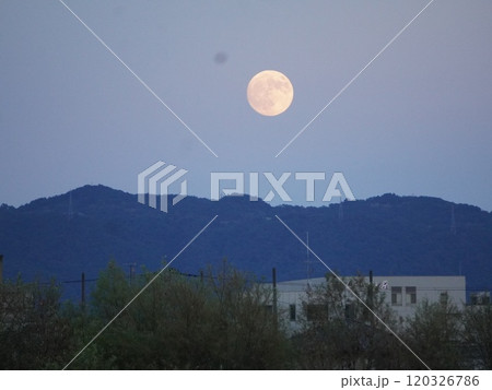 お月見 お月見 120326786