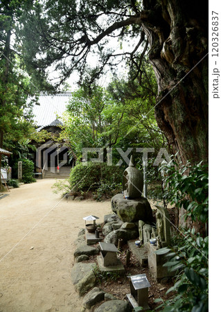 第46番札所 医王山 養珠院 浄瑠璃寺(本堂・籾大師)【愛媛県松山市浄瑠璃町】 120326837