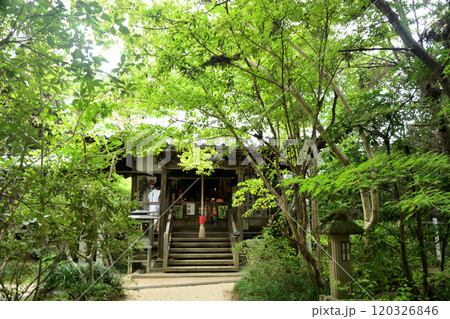 第46番札所 医王山 養珠院 浄瑠璃寺(大師堂)【愛媛県松山市浄瑠璃町】 120326846