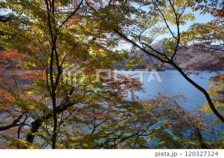 中禅寺湖《栃木県日光市》 中禅寺湖《栃木県日光市》 120327124