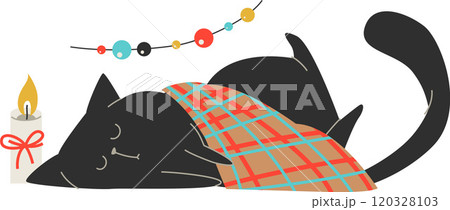 black cat sleeping under blanket black cat sleeping under blanket 120328103