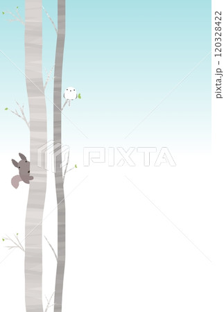 シラカバと森の動物たちの背景 K-3 シラカバと森の動物たちの背景 K-3 120328422