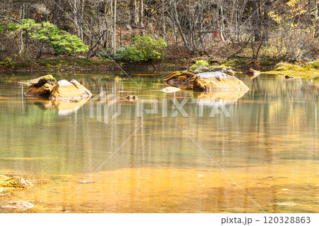 銅沼 裏磐梯の風景 銅沼 裏磐梯の風景 120328863