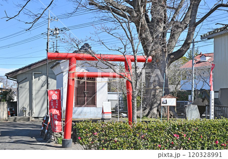 新町宿散歩：八坂神社　高崎市新町 120328991