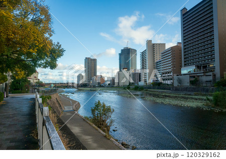 阪急電鉄今津線鉄橋 120329162
