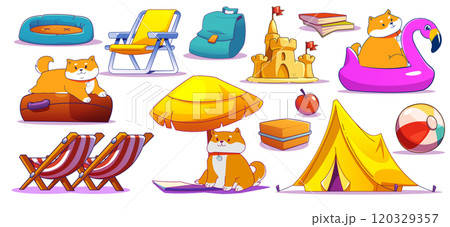 Cute dog and beach accessories set 120329357