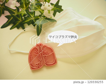 肺の模型とマイコプラズマ肺炎の文字 肺の模型とマイコプラズマ肺炎の文字 120330255