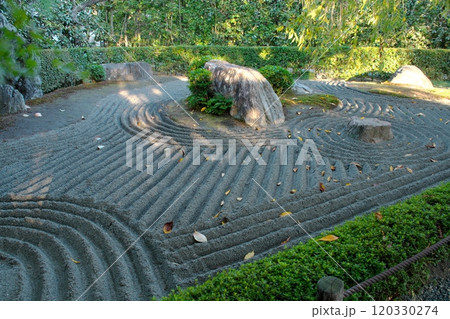 京都の退蔵院庭園　陰の庭 120330274
