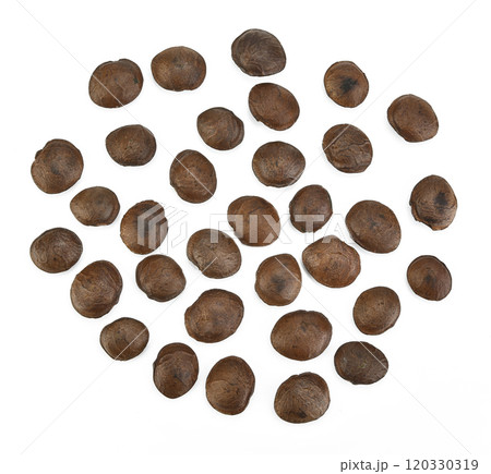 Plukenetia volubilis or sacha inchi peanut seed isolated on white background. Plukenetia volubilis or sacha inchi peanut seed isolated on white background. 120330319