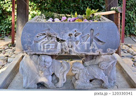 新町宿散歩:於菊稲荷神社 高崎市新町 新町宿散歩:於菊稲荷神社 高崎市新町 120330341