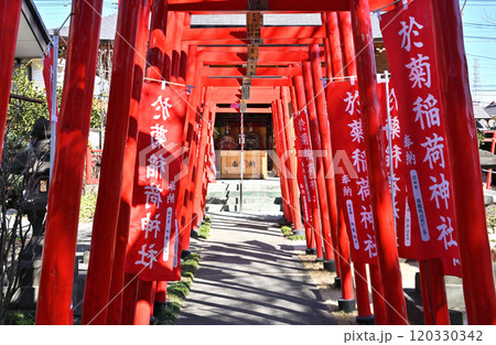 新町宿散歩:於菊稲荷神社 高崎市新町 新町宿散歩:於菊稲荷神社 高崎市新町 120330342