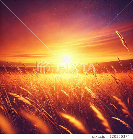 夕日に照らされる草原のイラスト素材 [120330374] - PIXTA