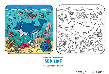 Sea theme. Dolphin coloring book. Kids vector 120330440