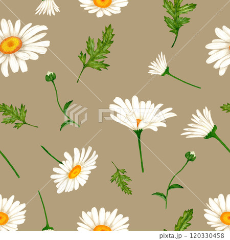 Watercolor seamless pattern with chamomile flowers and leaves. For printing designs in industry. 120330458