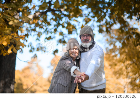 Portrait of beautiful senior couple during walk in autumn park, looking at camera and smiling. Portrait of beautiful senior couple during walk in autumn park, looking at camera and smiling. 120330526