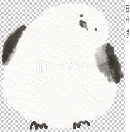 長尾蛾歪頭插畫素材 長尾蛾歪頭插畫素材 120330701