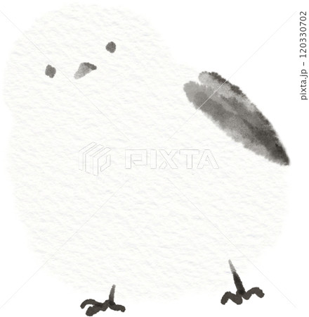 こっちを見つめるシマエナガのイラスト素材 こっちを見つめるシマエナガのイラスト素材 120330702