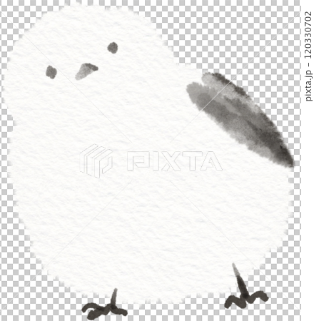 こっちを見つめるシマエナガのイラスト素材 こっちを見つめるシマエナガのイラスト素材 120330702