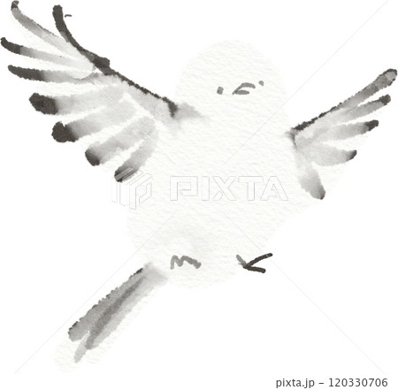 羽ばたくシマエナガのイラスト素材 120330706