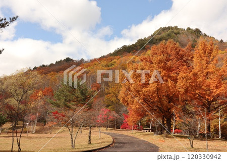 静かな秋を堪能できる山の公園 120330942