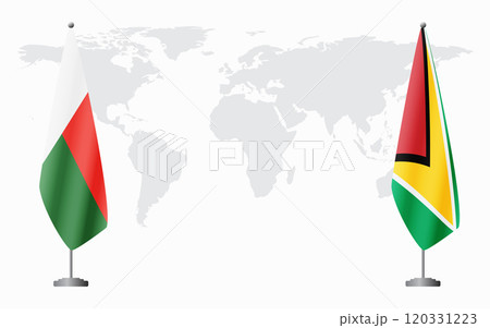 Madagascar and Guyana flags for official meeting 120331223
