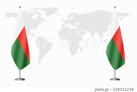 Madagascar and Madagascar flags for official meeting 120331239