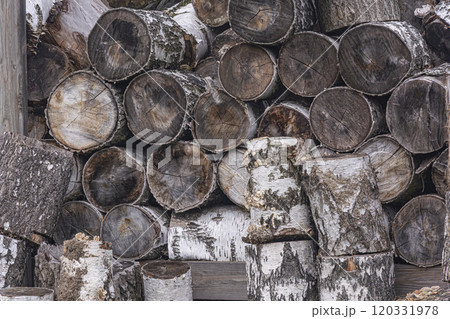 Birch logs are stacked on top of each other. 120331978