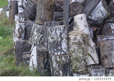 Birch logs stacked on top of each other on the green grass 120331979