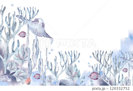 Aquatic monochrome blue banner with seaweeds and ocean creatures on watercolor background. Marine life border with stingray and fish in dusty blue and lavender hand drawn. Undersea summer design frame 120332752
