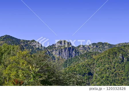 新穂高　鍋平公園から錫杖岳を望む 120332826