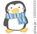 おしゃれなマフラーを付けた可愛いペンギン 120333153