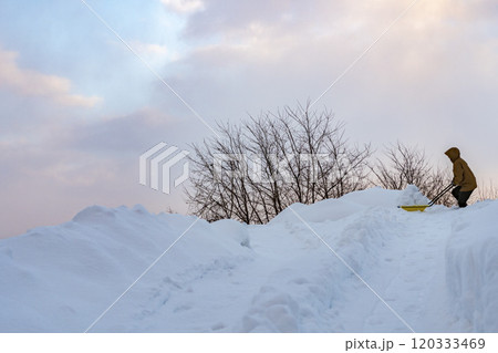 スノーダンプで雪かきをする若い女性 スノーダンプで雪かきをする若い女性 120333469